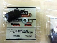 Предохранитель T12287-39 - st-e.info - Бердск